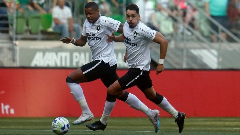 Botafogo terá reforços para a reta final da temporada