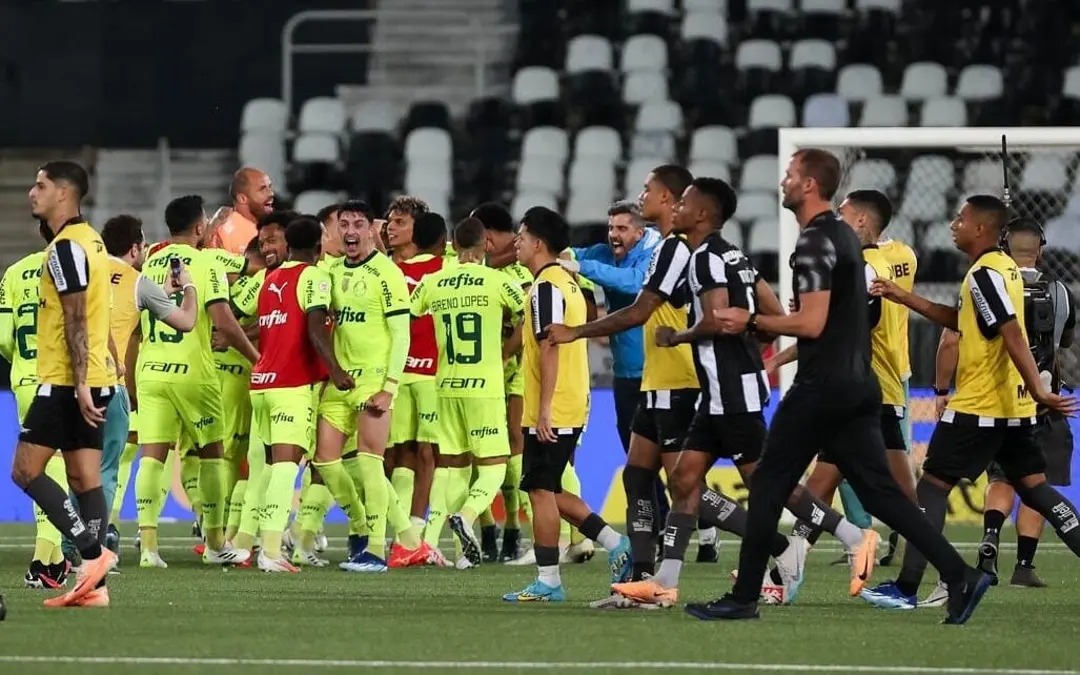 Palmeiras x Botafogo / Foto: Cesar Graco 