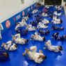 Jiu-Jitsu: esporte sem etarismo