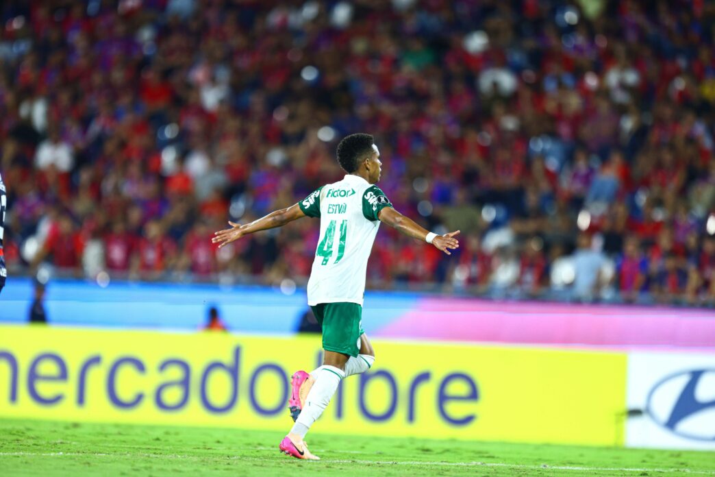 Palmeiras vence, Flamengo e Bahia decepcionam; resumo da rodada