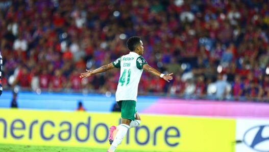Palmeiras vence, Flamengo e Bahia decepcionam; resumo da rodada