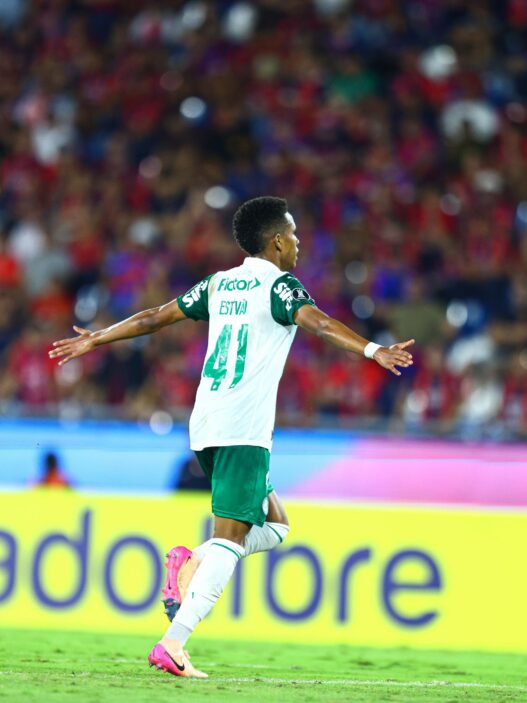 Palmeiras vence, Flamengo e Bahia decepcionam; resumo da rodada