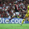 Flamengo vence e avança, Palmeiras goleia e passa 100% na Libertadores