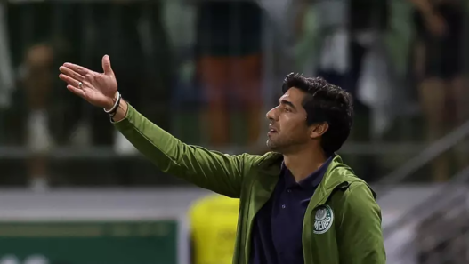 Palmeiras vive fase quase perfeita e encara o Flamengo em confronto direto pela liderança do Brasileirão