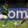 Palmeiras alcança marca histórica na Libertadores e provoca o Corinthians nas redes sociais