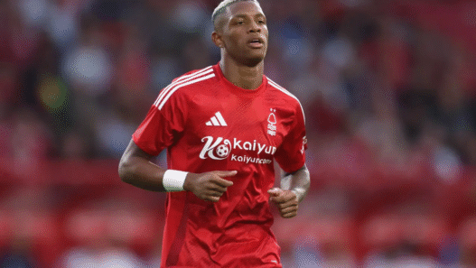 Botafogo avança por Danilo e mira reposição de peso para o meio-campo