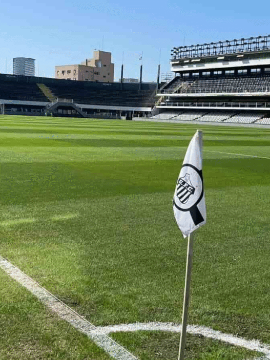 Santos x Internacional: onde assistir e prováveis escalações
