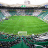 Palmeiras lidera ranking dos melhores mandantes da história do Brasileirão