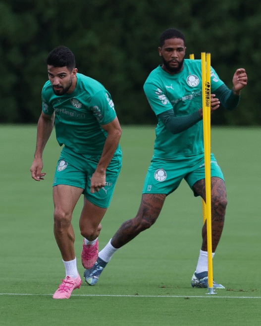 Palmeiras treina em dois períodos antes de encarar o Chelsea na Copa do Mundo de Clubes