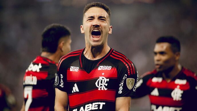 Ceará x Flamengo: onde assistir, escalações e arbitragem