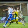 Mirassol e Cruzeiro empatam em jogo de belos gols