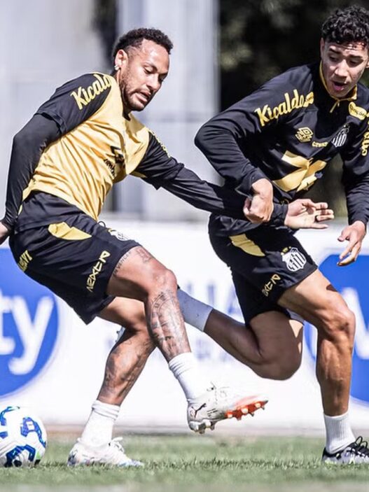 Santos soma dúvidas para enfrentar o Vasco