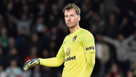 Botafogo negocia contratação do goleiro Neto