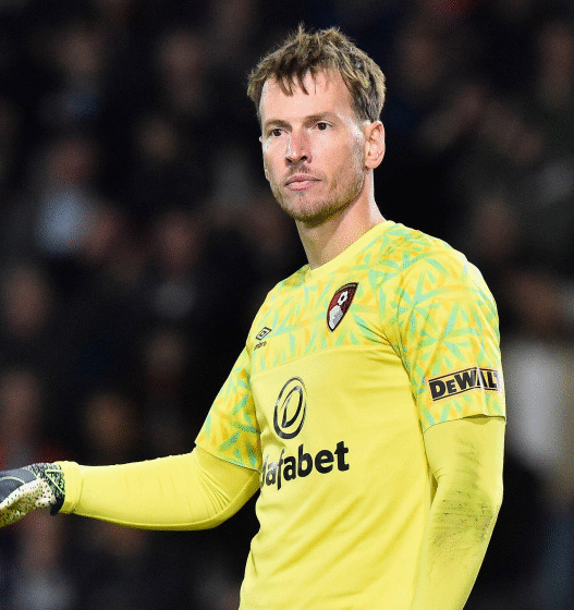 Botafogo negocia contratação do goleiro Neto