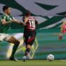 Flamengo x Palmeiras: Odds, onde assistir, horário e escalações 19/10
