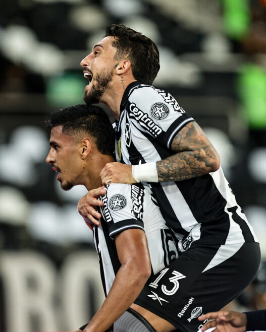 Botafogo detona o Vasco e sobe na tabela