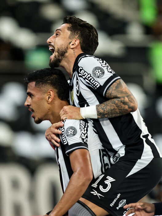 Botafogo detona o Vasco e sobe na tabela