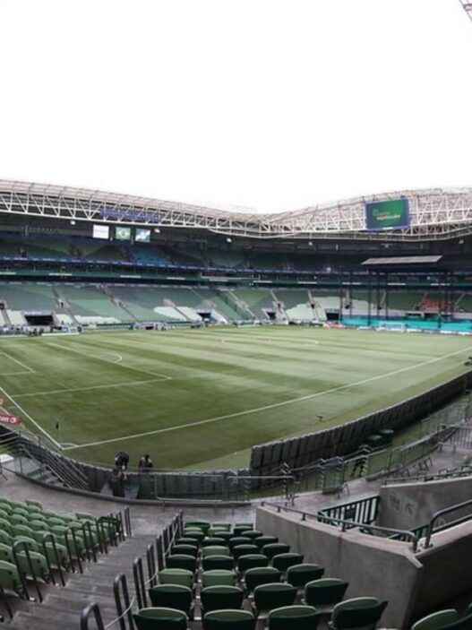 Palmeiras x Fluminense: Odds, onde assistir, horário e escalações 20/11