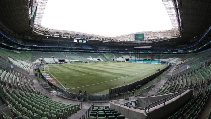 Palmeiras x Fluminense: Odds, onde assistir, horário e escalações 20/11