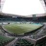 Palmeiras x Fluminense: Odds, onde assistir, horário e escalações 20/11