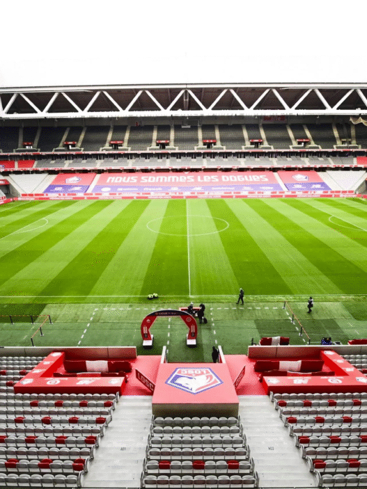 Brasil x Tunisia: Odds, onde assistir, horário e escalações 18/11