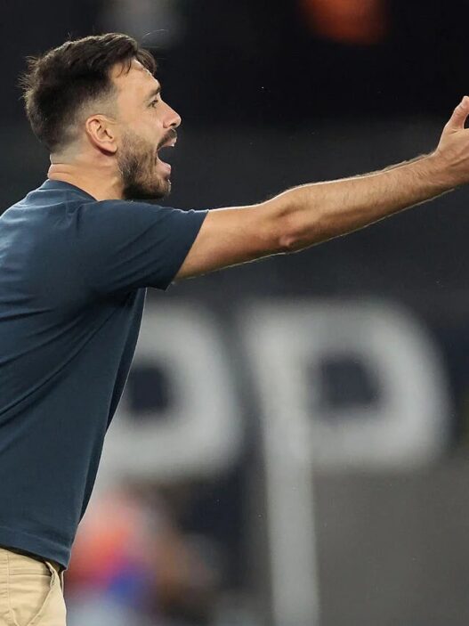 Ancelotti indica saída do Botafogo