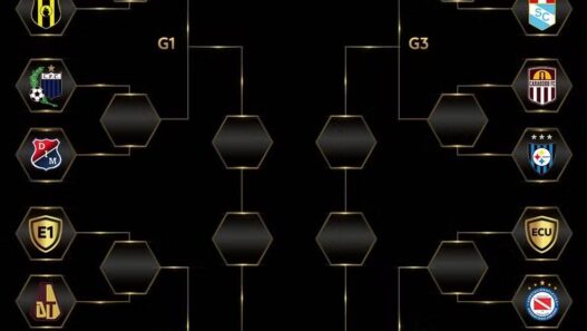 Bahia e Botafogo conhecem adversários na Libertadores