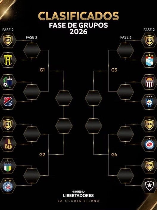 Bahia e Botafogo conhecem adversários na Libertadores