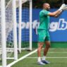 Bahia busca a contratação de Weverton, do Palmeiras
