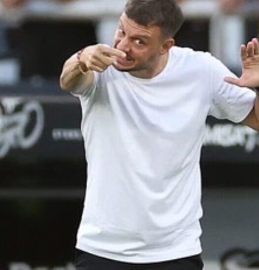 Nacional Potosí x Botafogo: Odds, onde assistir, horário e escalações 18/02