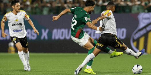 Novorizontino x Palmeiras: Odds, onde assistir, horário e escalações 08/03