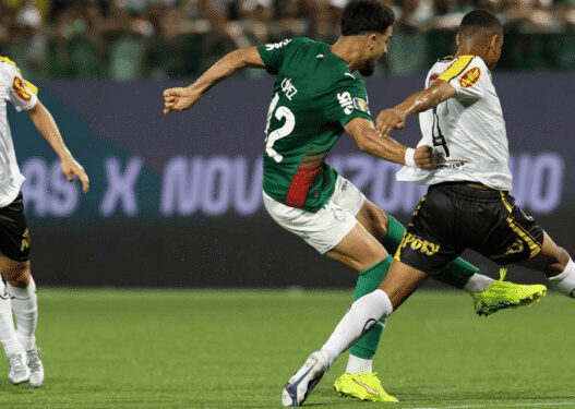 Novorizontino x Palmeiras: Odds, onde assistir, horário e escalações 08/03