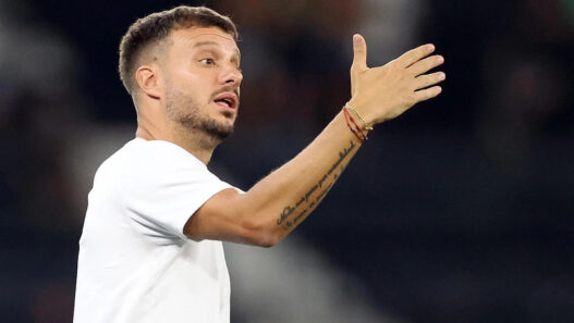 Botafogo demite o técnico Anselmi mesmo após vitória