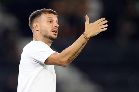 Botafogo demite o técnico Anselmi mesmo após vitória