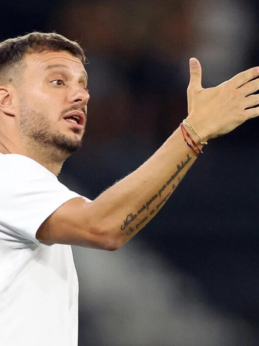 Botafogo demite o técnico Anselmi mesmo após vitória