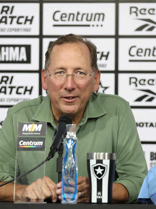 Botafogo é colocado à venda pela administradora da SAF