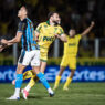 Mirassol x Grêmio: Odds, onde assistir, horário e escalações – 02/08