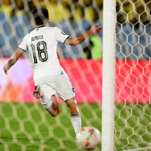 Almada fez o gol do Botafogo - Foto: DANTE FERNANDEZ/AFP