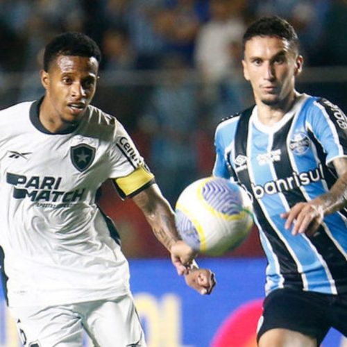 Botafogo x Gremio - Foto: Vitor Silva/BFR