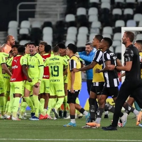 Palmeiras x Botafogo / Foto: Cesar Graco 