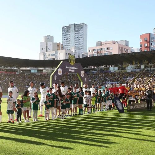 Times Palmeiras e Criciúma / (Foto: Cesar Greco/Palmeiras)