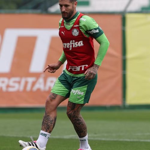 Zé Rafael, do Palmeiras - Foto: Cesar Greco - Palmeiras